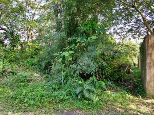 Imagem 2 de 4 de Amplo Terreno Lado Serra, Itanhaém- Tropical 1000m². 8350