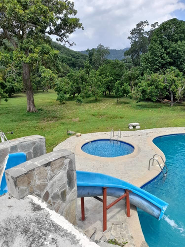 Imagen 22 de 30 de En Venta Finca En Ocumare De La Costa, Aragua