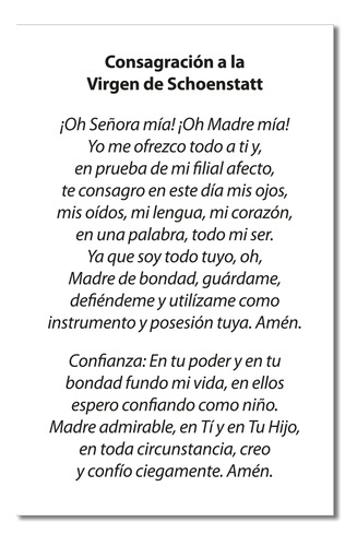 Estampitas Virgen De Schoenstatt X 100 Unidades