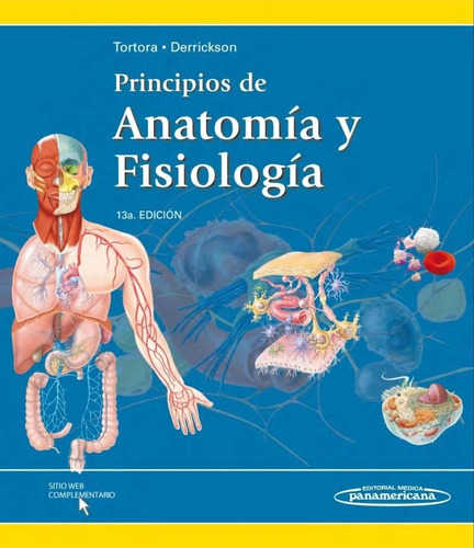 Principios De Anatomía Y Fisiología 13° E Tortora-derrickson