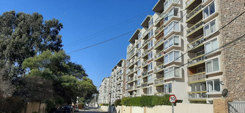 Concon: A 800mts De Playanegra Dpto 65m²+30m² De Terraza+est
