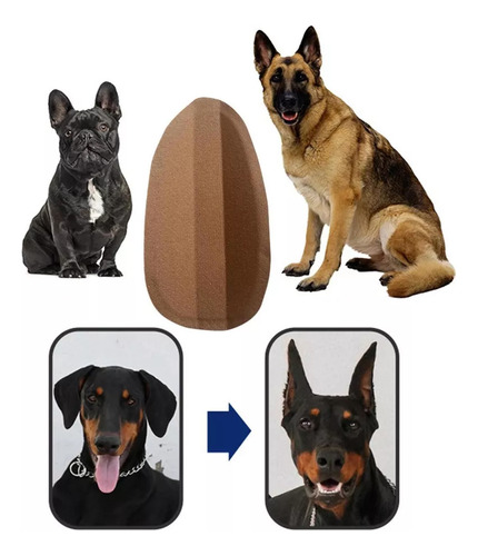 2x Mascota Perro Oreja Soporte Corrector Herramienta Perro