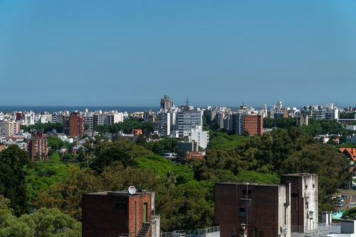Oficina - Punta Carretas