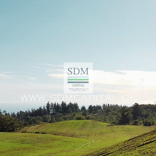 Venta Terreno - Sitio 5000mts Cobquecura Ñuble