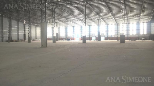 Imagen 1 de 8 de Excelente Nave Aaa De 11.500 M2 A Estrenar