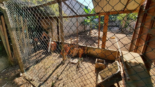 Imagem 29 de 30 de Chácara Village Campinas - Ch0185