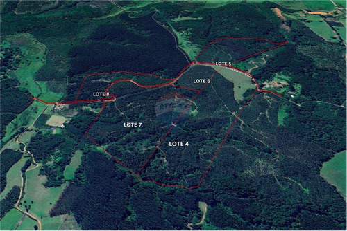 Predio Forestal En Venta 52 Ha. - Mantahue Gorbea