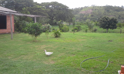 Se Vende Granja En El Estado Carabobo Ve02-1321carab-mtru