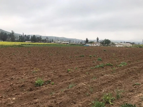 Hermosa Y Bien Ubicada Parcela En Los Laureles Limache