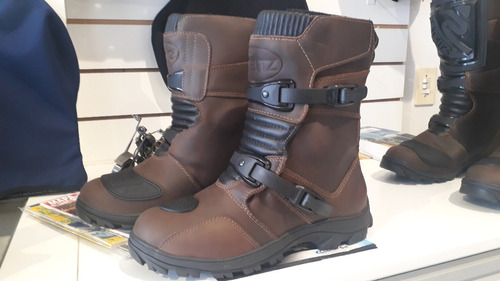 bota steitz austral