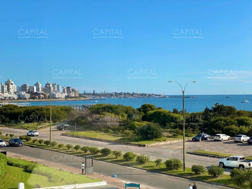 Imagen 5 de 24 de Beverly Tower Punta Del Este