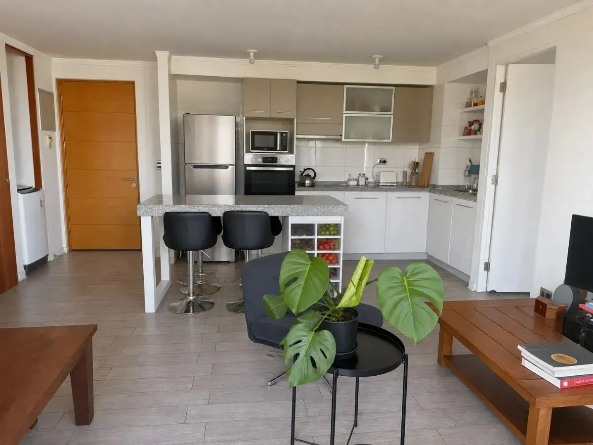 Imagen 1 de 12 de Departamento En Venta De 2 Dorm. En Providencia