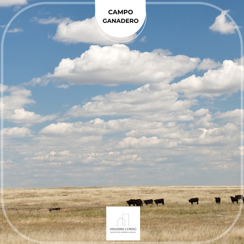 Paysandú, Campo Criador Ganadero