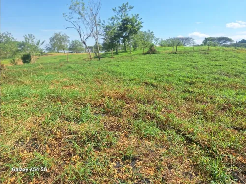 Venta Lotes En Quimbaya -quindío Colombia Cod: 7555717