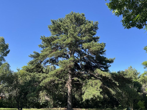 Terreno En Venta, Parque Natura, Los Cardales
