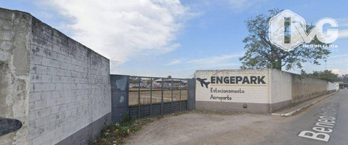 Imagem 5 de 5 de Terreno Para Alugar, 15000 M² Por R$ 45.000,00/mês - Várzea Do Palácio - Guarulhos/sp - Te0278