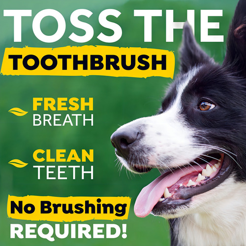Tropiclean Fresh Breath Drops