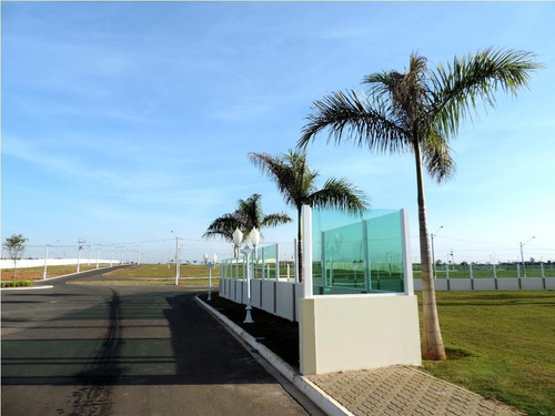 Imagem 18 de 30 de Terreno À Venda, 282 M² Por R$ 190.000,00 - Nossa Senhora Aparecida - Saltinho/sp - Te1182