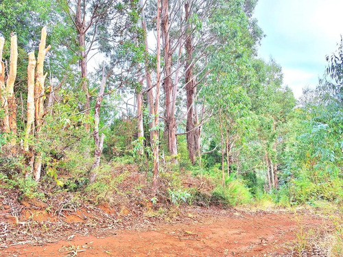 Altos De Punucapa Sector Chabelita, Oportunidad