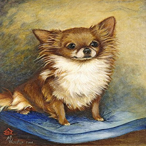 Caroline's Treasures Mh1036gf Chihuahua Long Hair Brown Gard