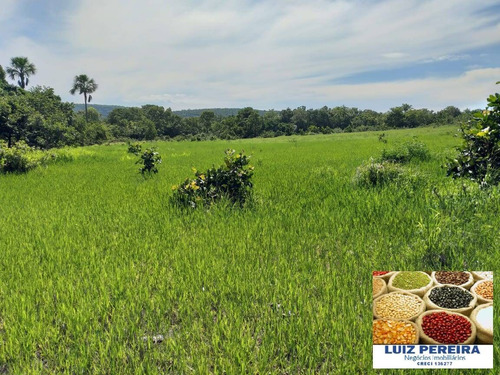 Imagem 1 de 9 de Fazenda À Venda Em Recursolândia -t0 - 3998 Hectares (dupla Aaptidão) - 1592
