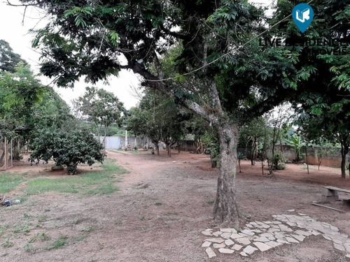 Imagem 12 de 15 de Chácara Com Pomar Formado, Totalmente Plana! Live Residence - 5728