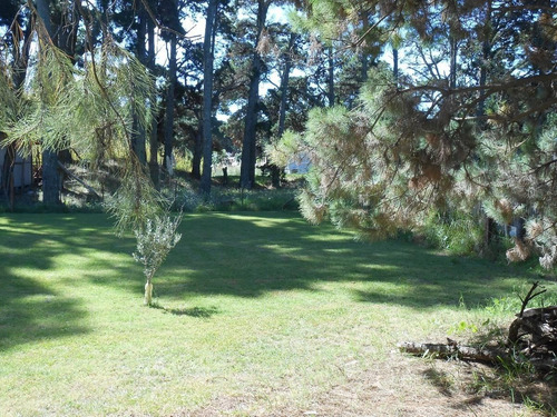 Imagen 16 de 23 de Chalet Villa Nordic Con Jardin Privado