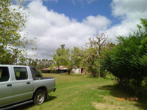 Imagen 5 de 11 de Chacra Con Certificación De Producción Orgánica