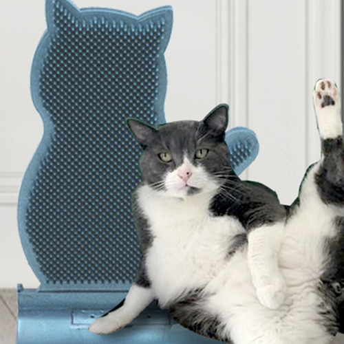 Herramienta Masajeadora Autolimpiadora Cat Ah For Mascotas