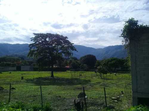 Terreno En Vía Principal De Paya, Turmero Edo Aragua.