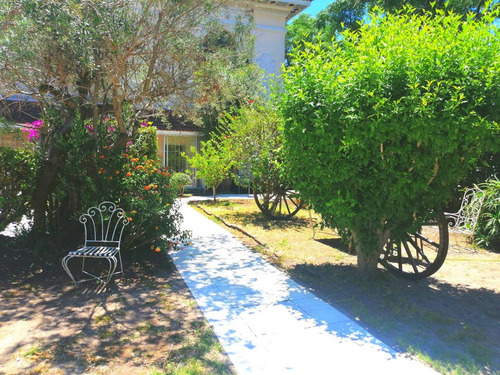 Imagen 4 de 10 de Residencial De Ancianos - Mi Casa
