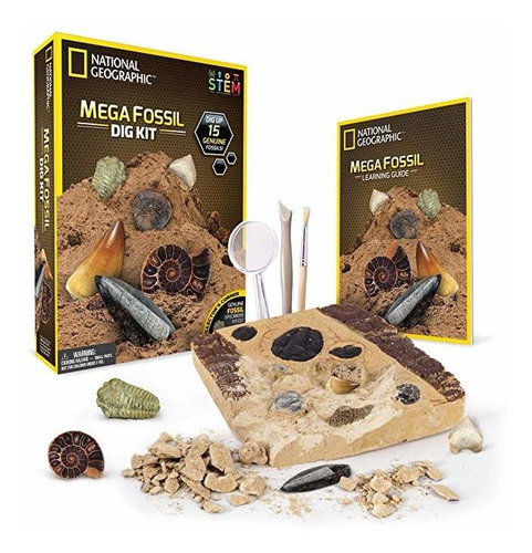 National Geographic Mega Kit Fossil Dig - Excavar 15 Fósiles