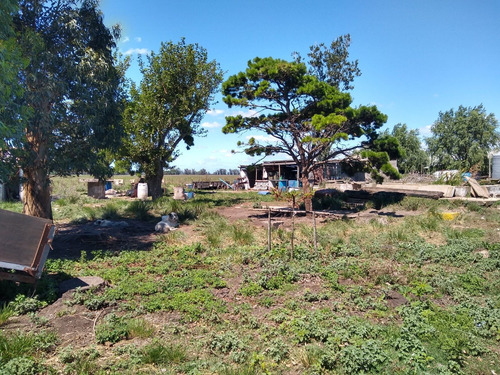 Imagen 10 de 30 de Latorre Prop Vende Campo De 34 Hectareas En Cobo
