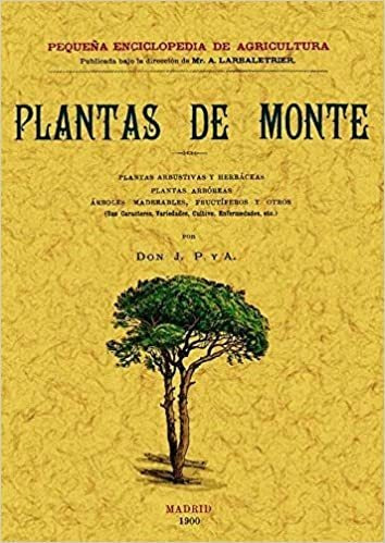 Plantas De Monte - Jp Y A (libro) - Nuevo