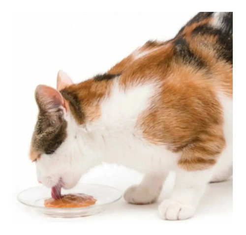 Snack para gatos Catit Creamy sabor atún 4 tubos