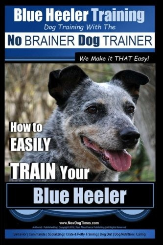 Blue Heeler Training | Dog Training With The No Brainer Dog 