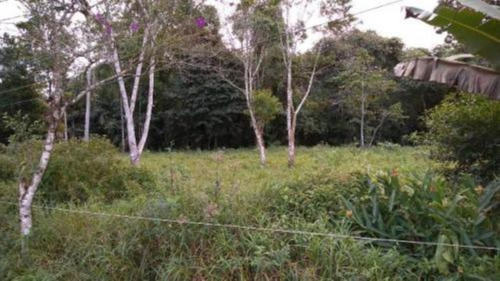 Imagem 1 de 4 de Terreno De Chácara No Parque Vergara, Em Itanhaém, Com 1000 M² De Área Total, Aceita Entrada E Parcelas