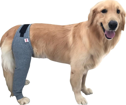 Protetor Cachorro Perna De Trás Leg Traseira Proteção Uv N2