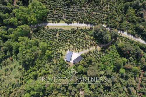 Cómoda Y Acogedora Casa En Refugio Cordillerano, F...
