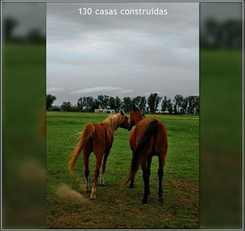Terreno - Estancia Benquerencia