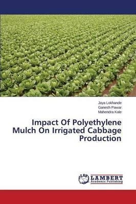 Impact Of Polyethylene Mulch On Irrigated Cabbage Product...