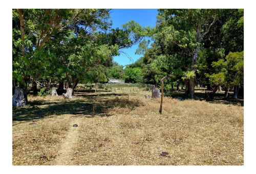 Imagen 7 de 8 de Campo En Venta En Alvarez Jonte-punta Indio