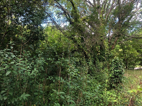 Imagen 5 de 14 de Lote En Esquina - Punta Indio - T-750