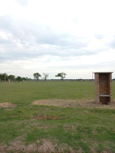 Imagen 3 de 14 de Terreno - Esperanza