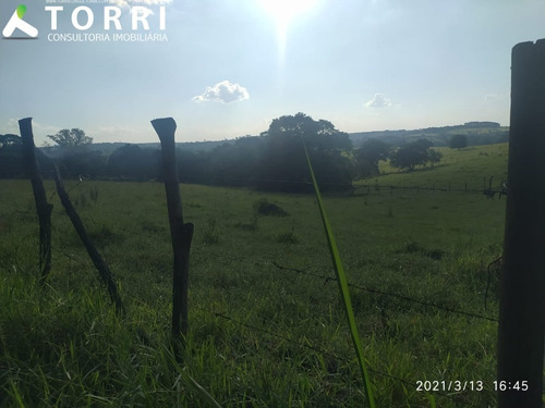 Terreno À Venda Na Zona Industrial Éden - Te00771 - 69320505