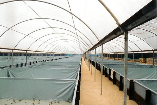 Imagem 7 de 14 de Sitio160.000m2,estrutura Criação Peixes(de Graça) 30km Praia