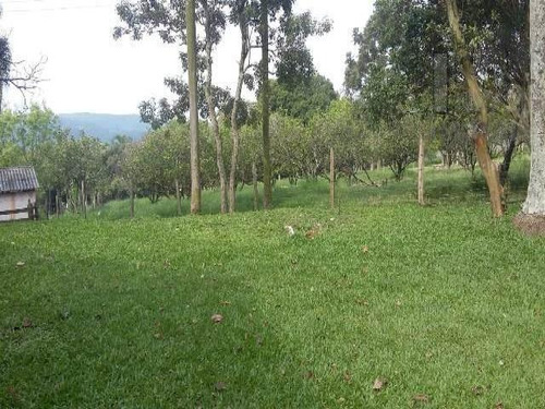 Cód 3224 - Lindo Sitio Com 14.000 M² - 3224