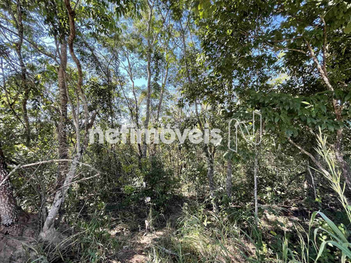 Imagem 4 de 11 de Venda Lote Em Condomínio Jardim Botânico Brasília - 855565