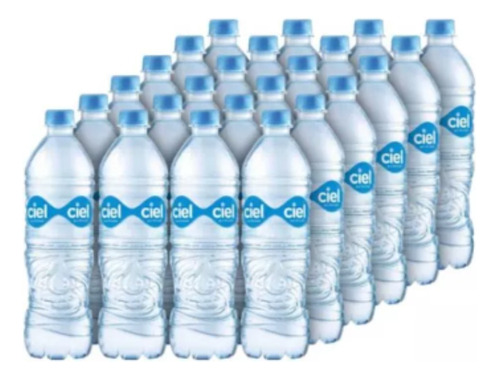 Paquete De 24 Agua Ciel De 600ml Agua Natural