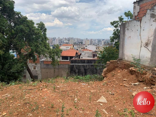 Imagem 2 de 3 de Terreno - Ref: 232090